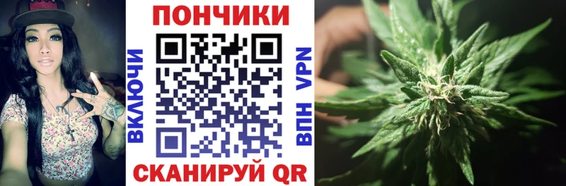 Бошки марихуана гибрид Бежецк